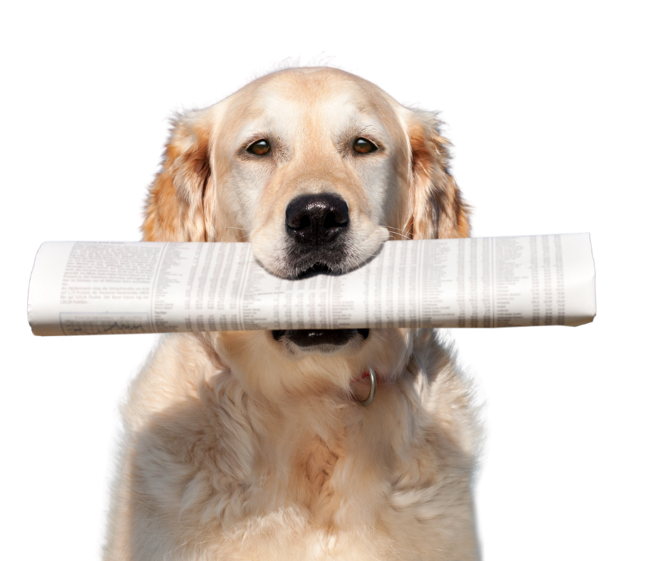 hund-mit zeitung