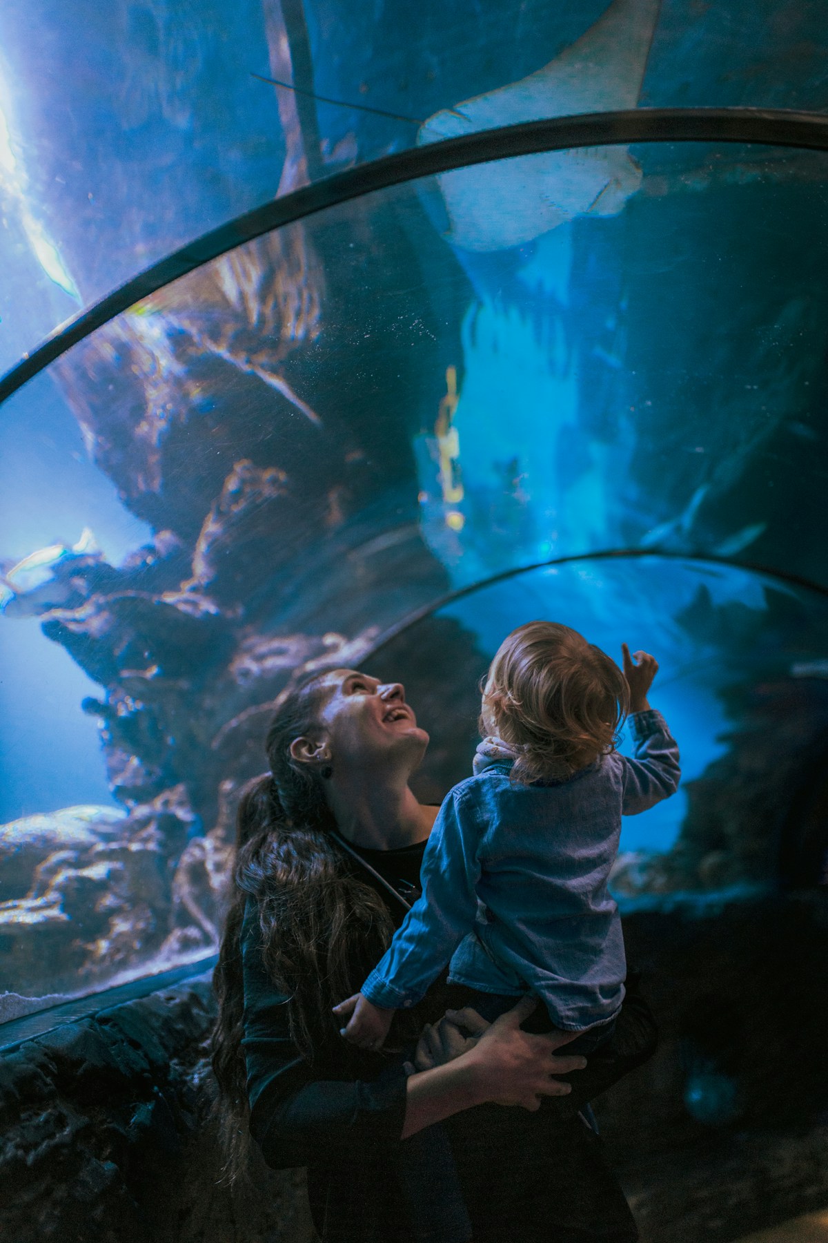 Ein Erwachsener und ein Kind beobachten gemeinsam ein großes Aquarium