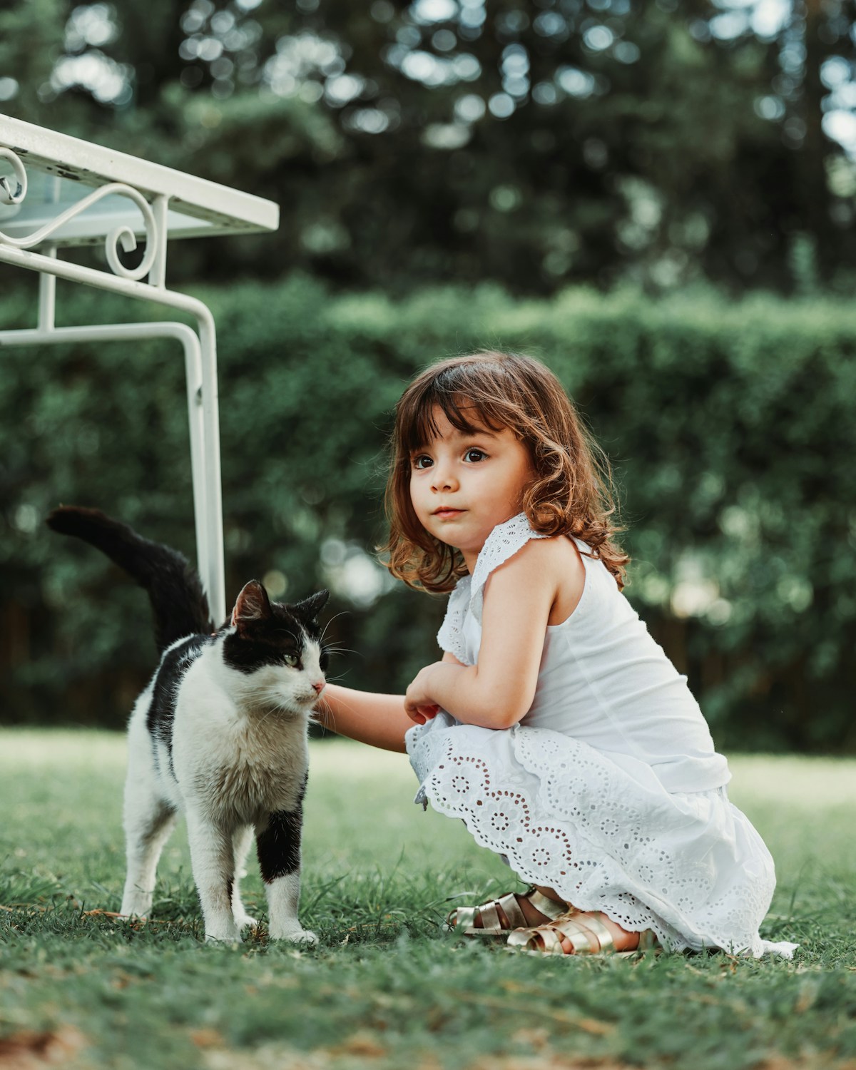 Ein Kind kniet im Gras neben einer stehenden Katze