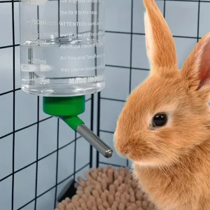 Trinkflasche für Kleintiere – 1.000 ml