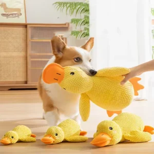Plüsch-Ente für Hunde