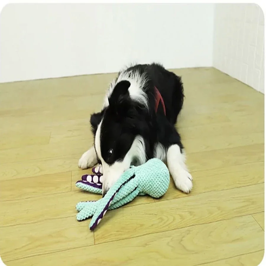 Plüsch-Oktopus für Hunde – Grün – Bild 2